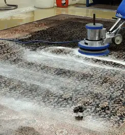 Professional rug cleaning with a rotary floor machine and shampoo foam, deep-cleaning an area rug Atlanta, GA.